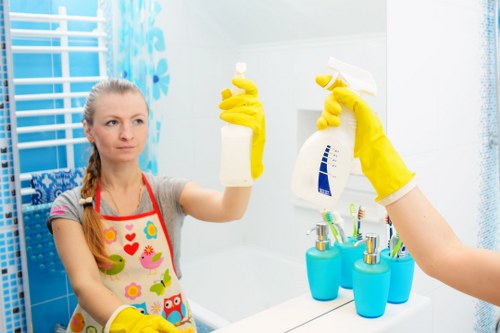 Professional window cleaning service for Barnet homes