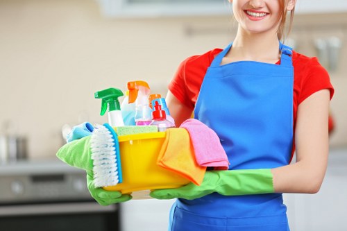 Professional rug cleaning service for Barnet homes and flats