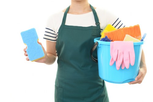 Professional steam carpet cleaning for a Barnet home interior