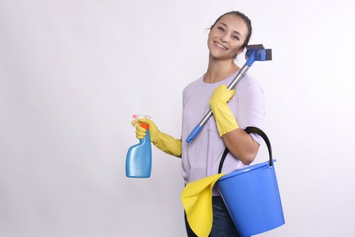 Local mattress cleaning process in a Barnet flat with access considerations