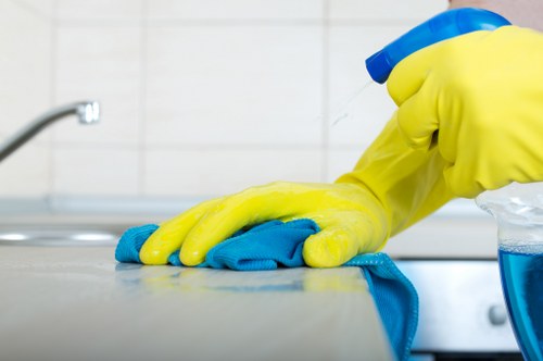 Regular domestic cleaning in a Barnet family home