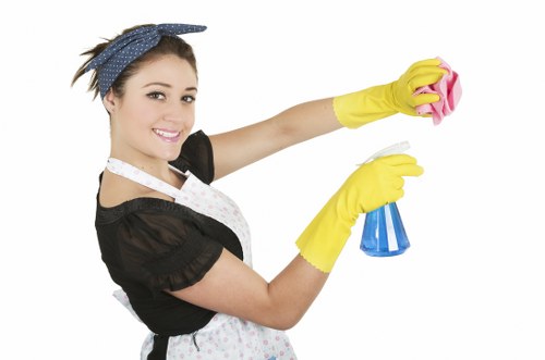 Image representing inclusive access to Barnet Cleaner services