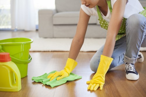 Kitchen appliance deep cleaning for residential or commercial customers in Barnet