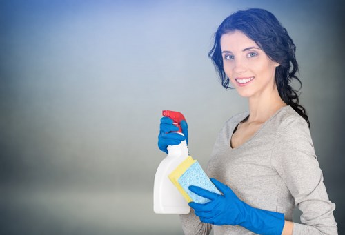 Barnet commercial gutter cleaning and roofline care